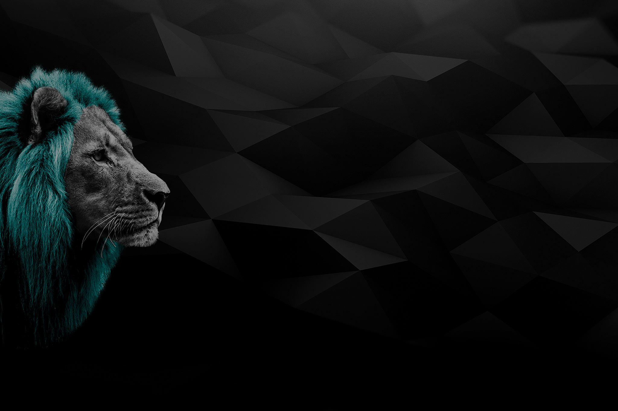myAgency-Accueil-background lion