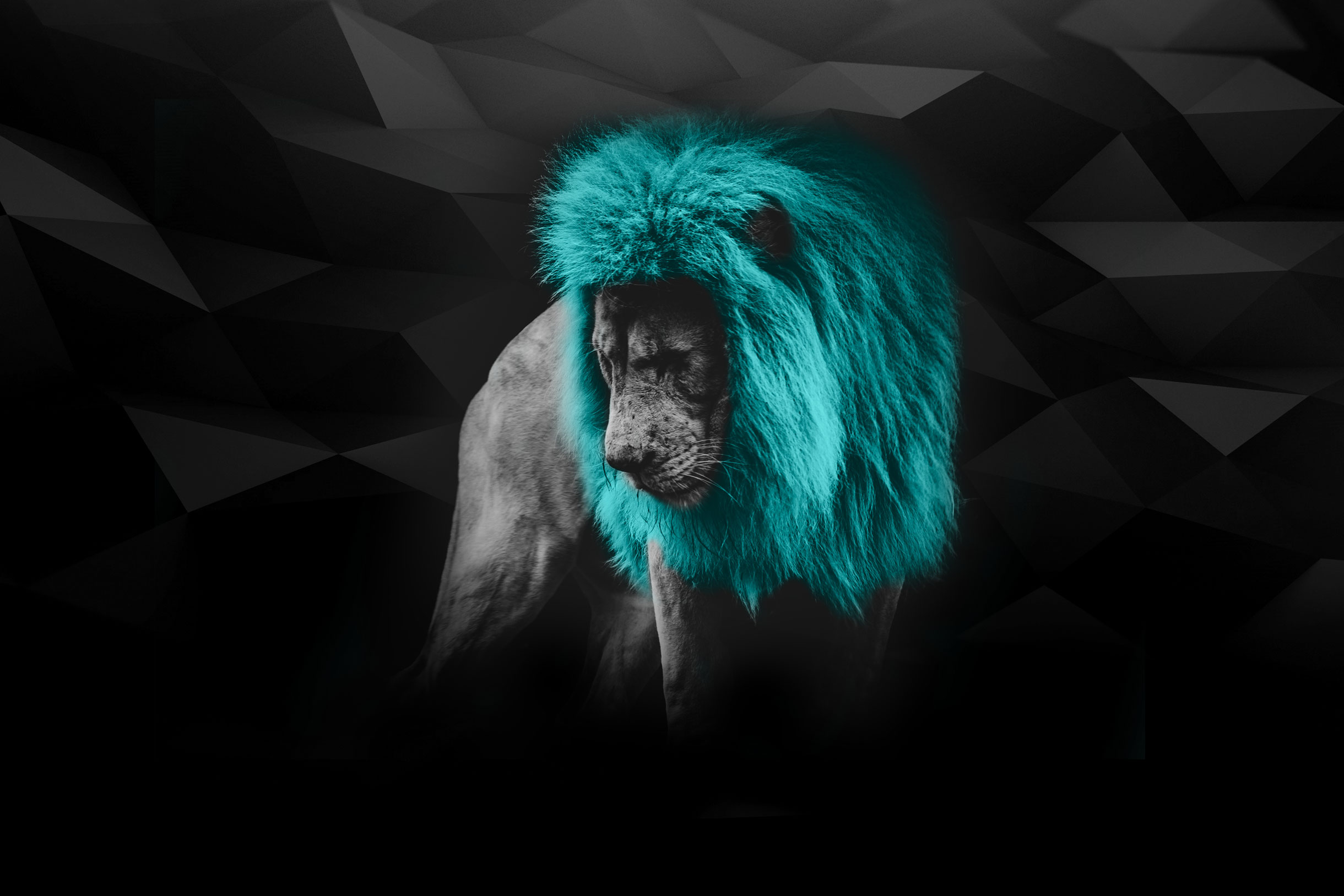 myAgency-Contact-background lion