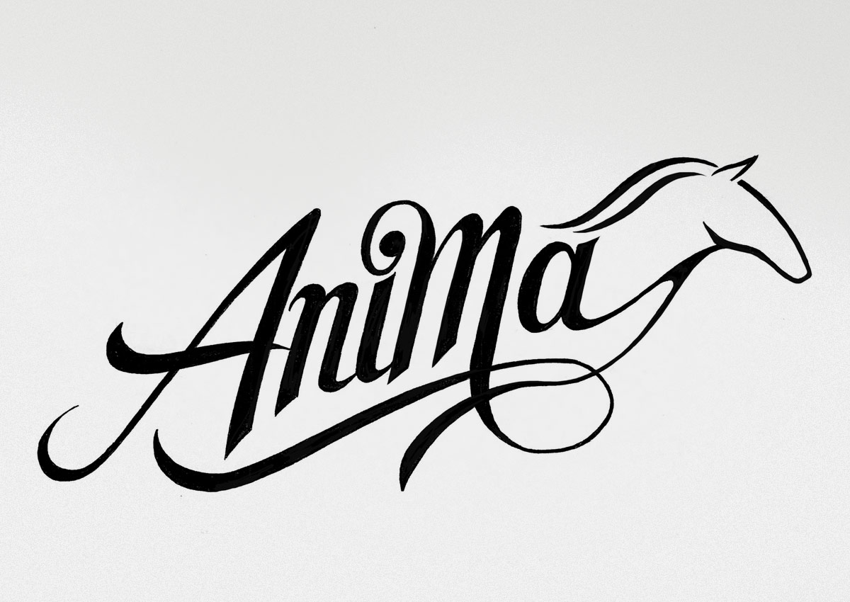 myAgency-Portfolio Anima